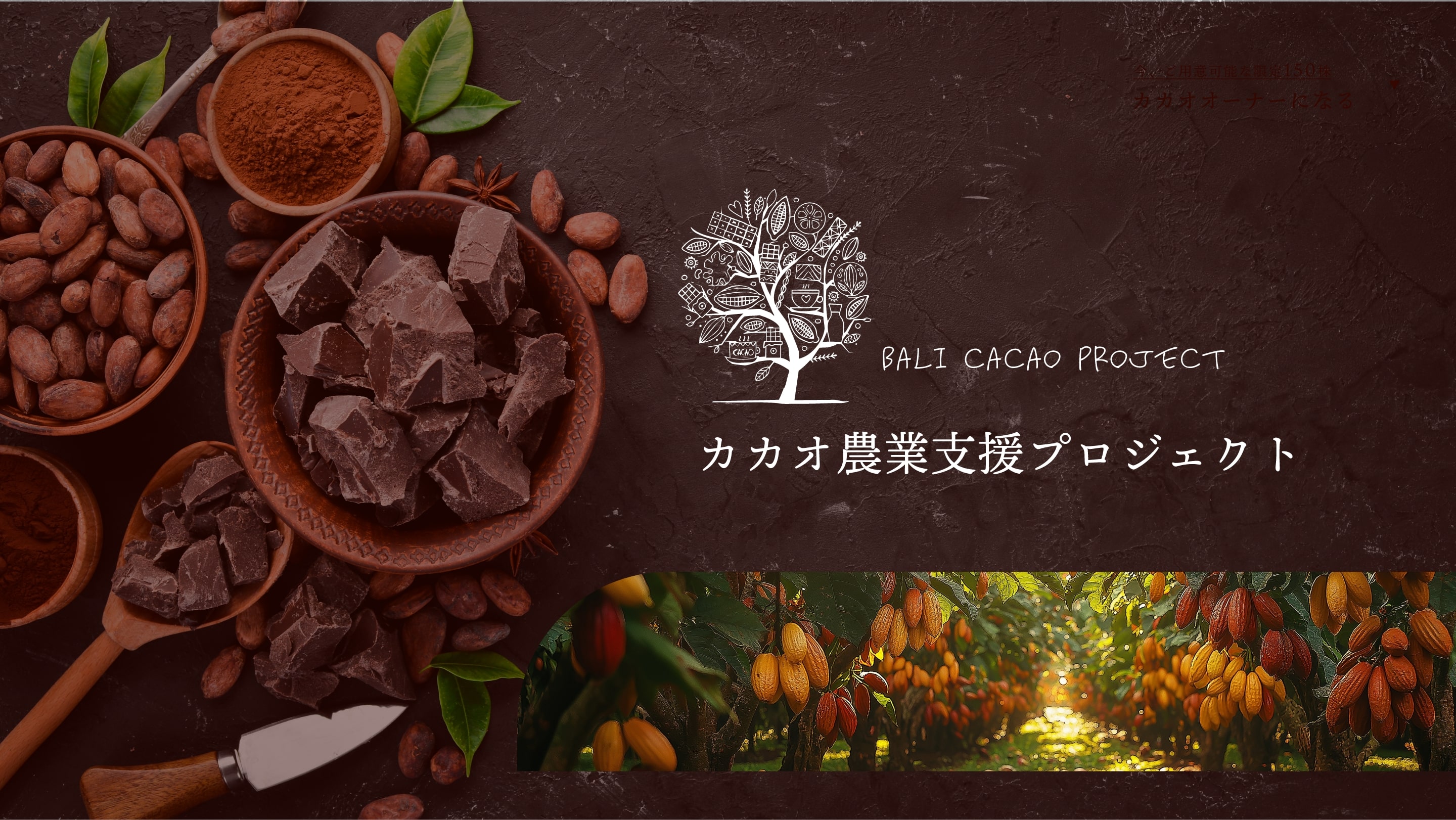 カカオ農業支援プロジェクトのメインビジュアル