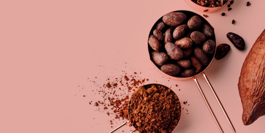 月々プランイメージ